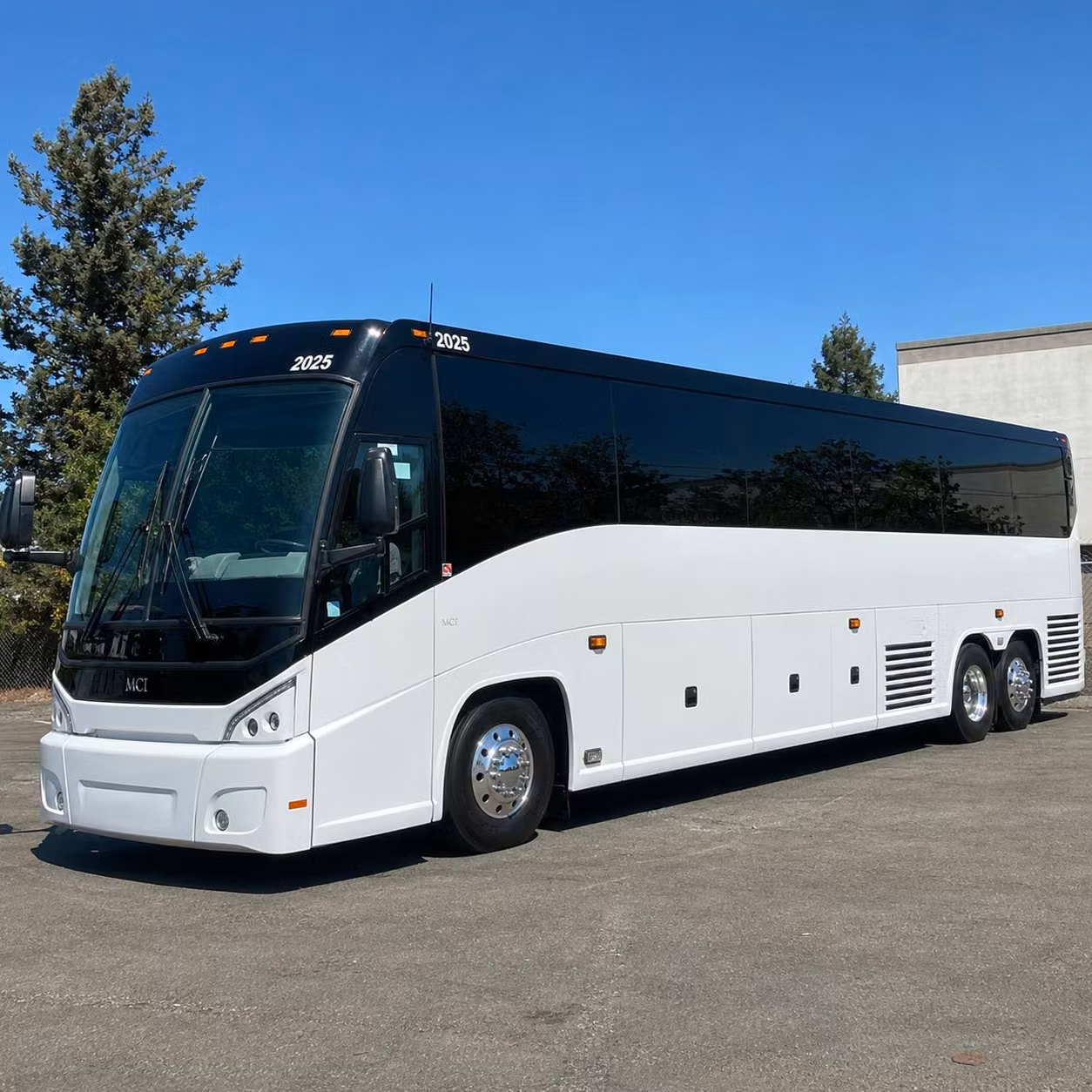 multi day bus rentals for davie groups on extended trips